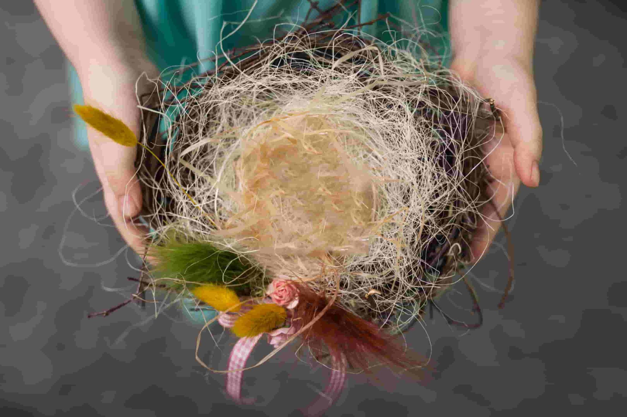 the-surprising-truth-do-birds-reuse-nests-year-after-year