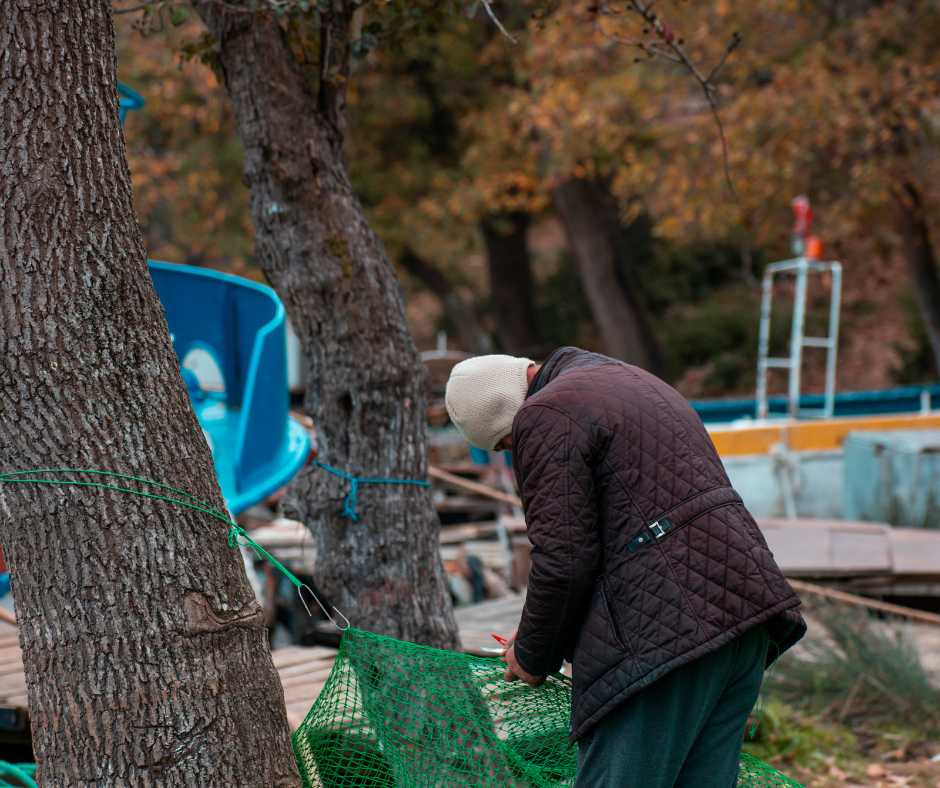 install bird net