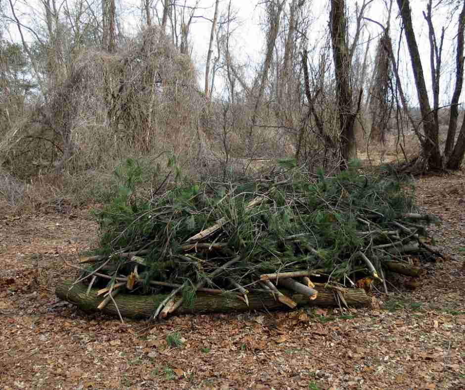 Brush Pile