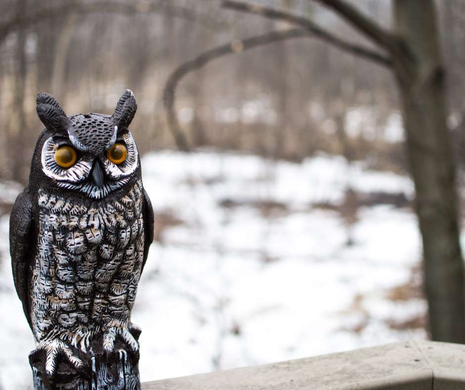Fake Owls on porch