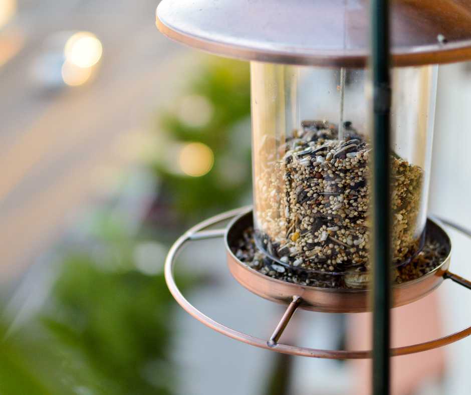 Window Feeder