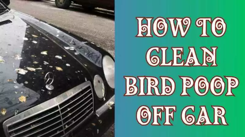 Step-by-step guide on how to clean bird poop off car.