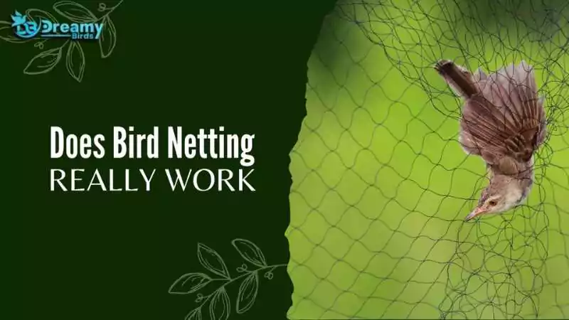 Bird entangled in netting with text 'does bird netting really work' questioning the efficacy of bird netting