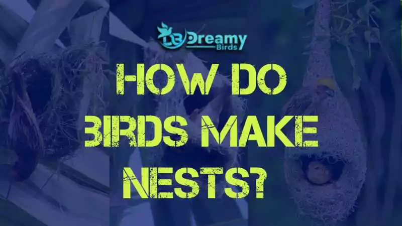 A bird weaving twigs and leaves to make a nest, demonstrating how birds make nests