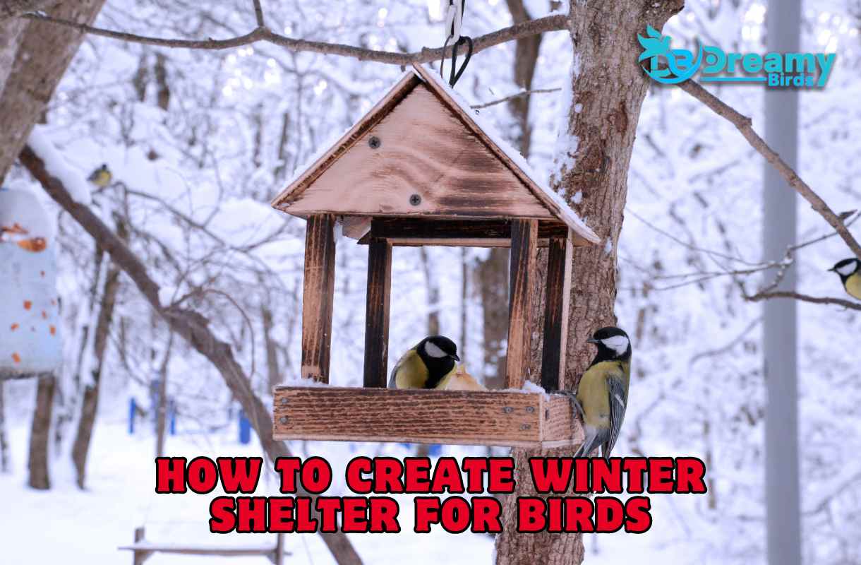 DIY Guide: How to Create Winter Shelter for Birds