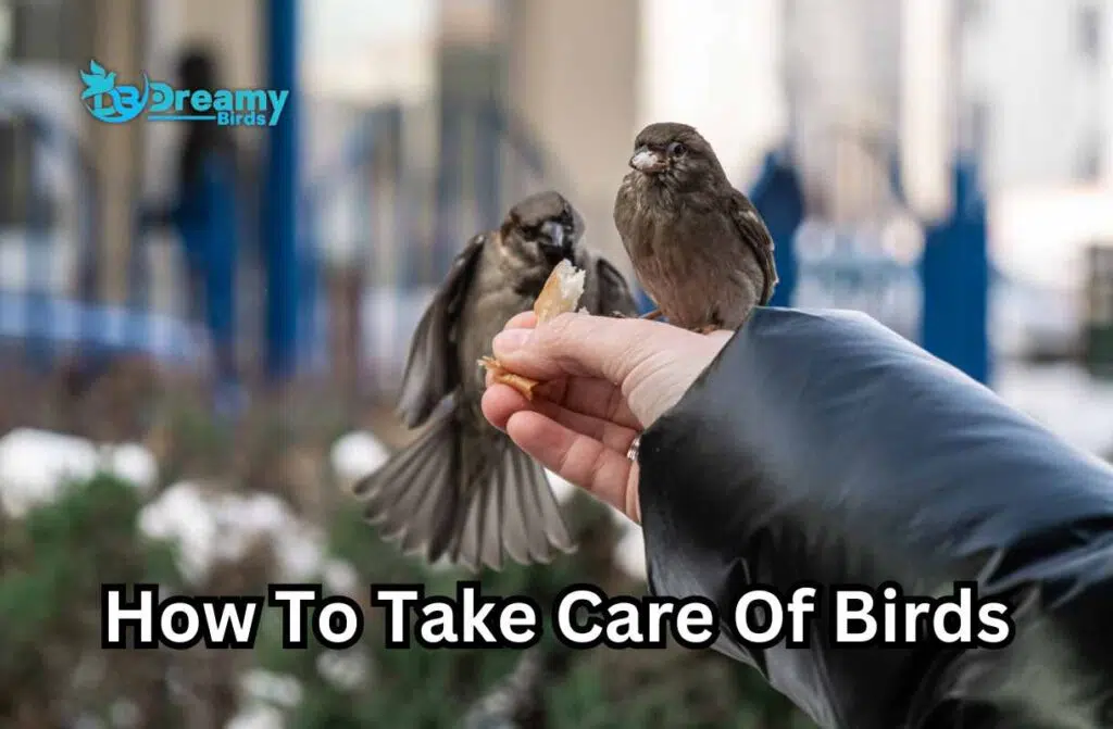 Feathered Friends: Secrets to Keeping Your Bird Happy and Healthy