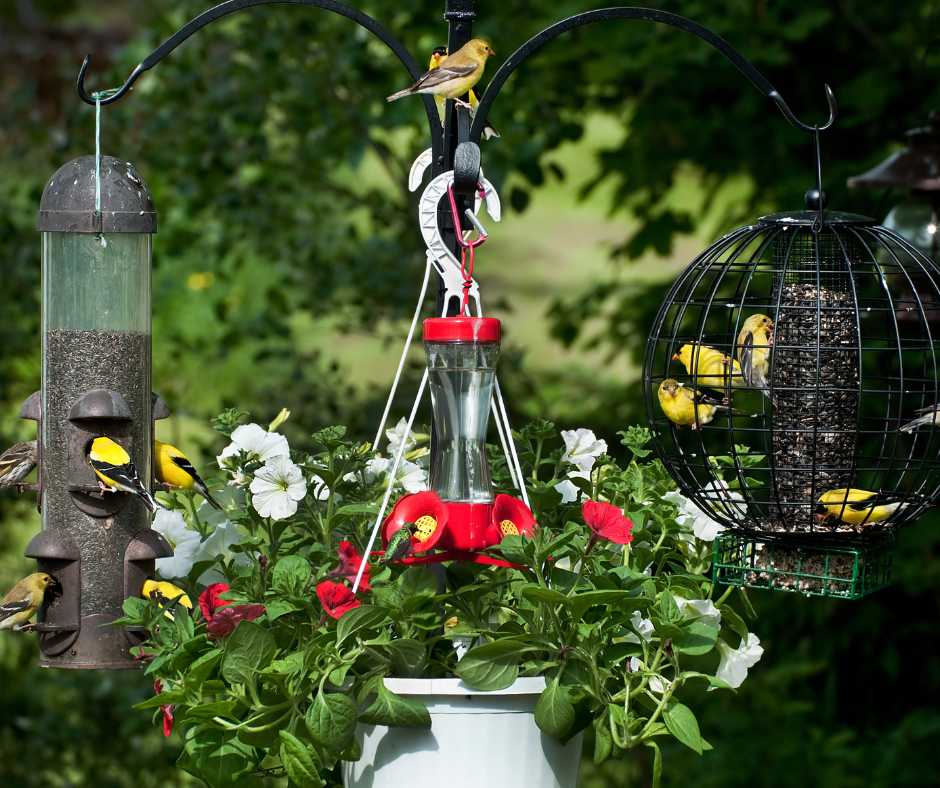Colorful bird feeders amidst vibrant flowers providing sustenance for garden birds.