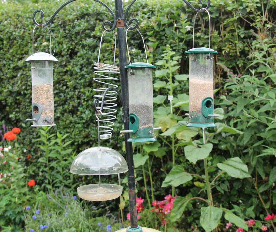 Multiple bird feeders hanging in a lush garden, inviting a variety of birds to dine.
