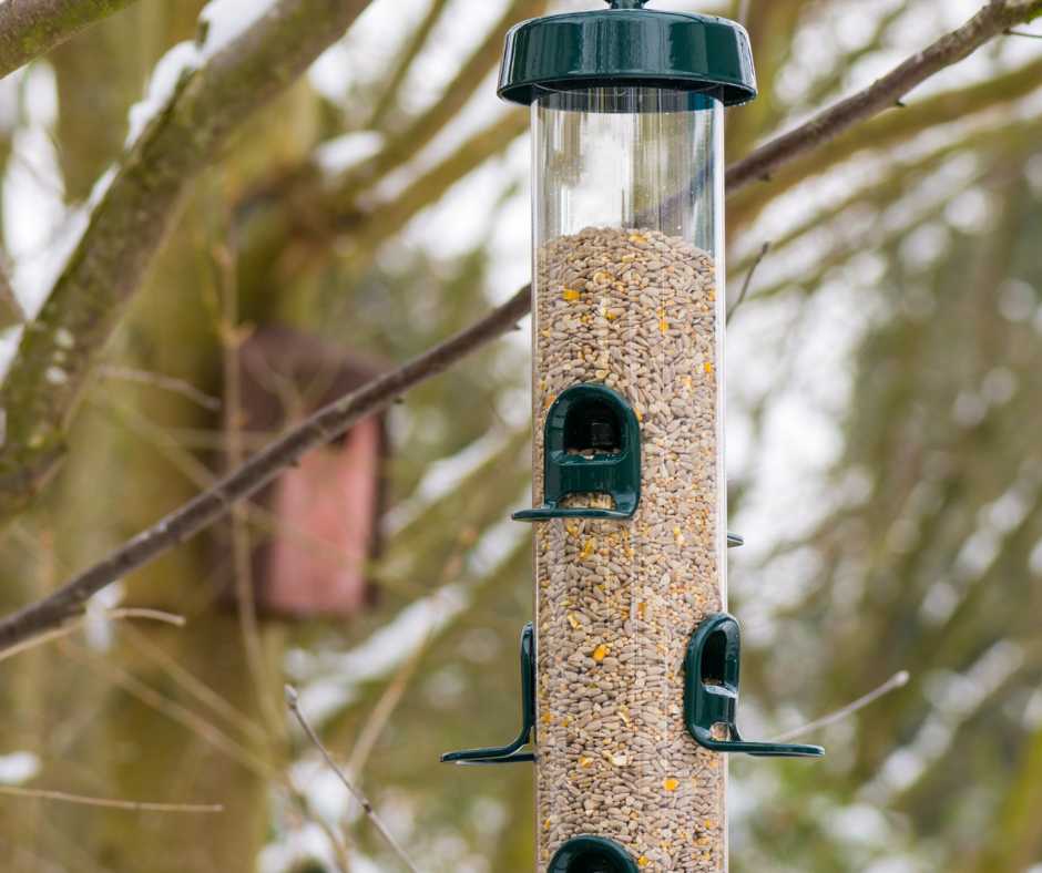 Close-up of a hanging bird feeder filled with seeds, nestled among tree branches.