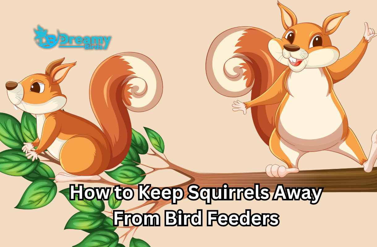 10 Tips on How to Keep Squirrels Away from Bird Feeders