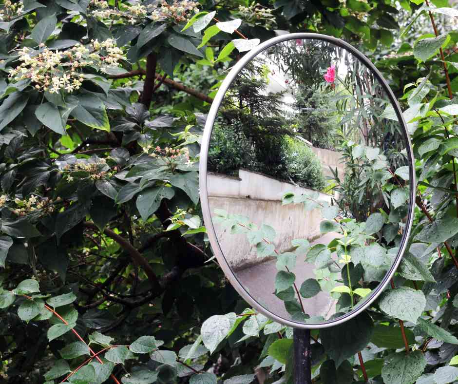 A mirror in a lush garden setting reflecting the surrounding greenery and enhancing the garden's visual appeal.