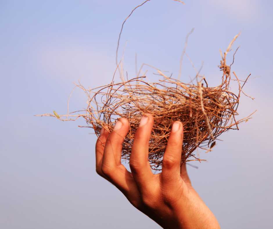A hand gently holding an empty bird's nest against a clear sky background.