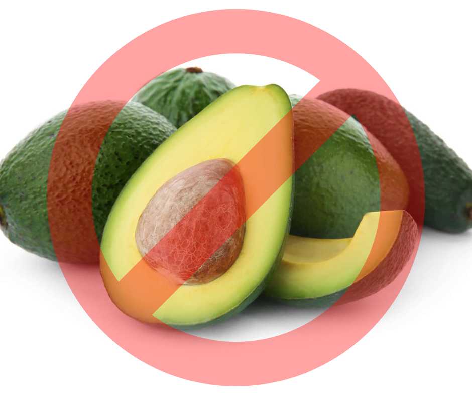 No Avocado sign to protect baby birds from toxic food