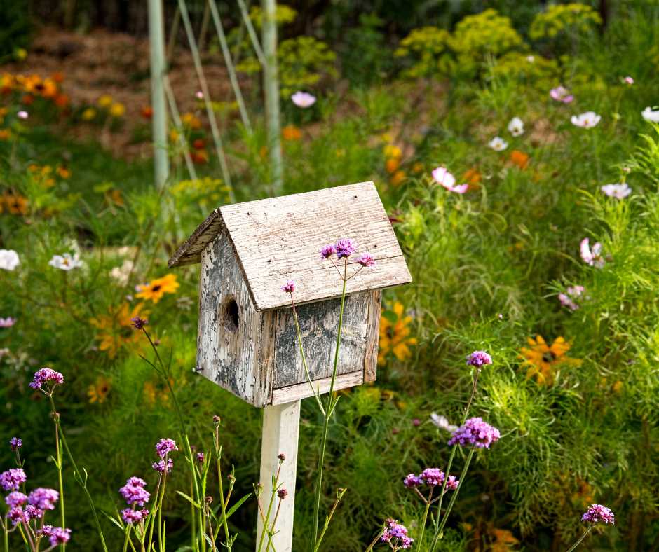 Weathered wooden birdhouse in a wildflower garden