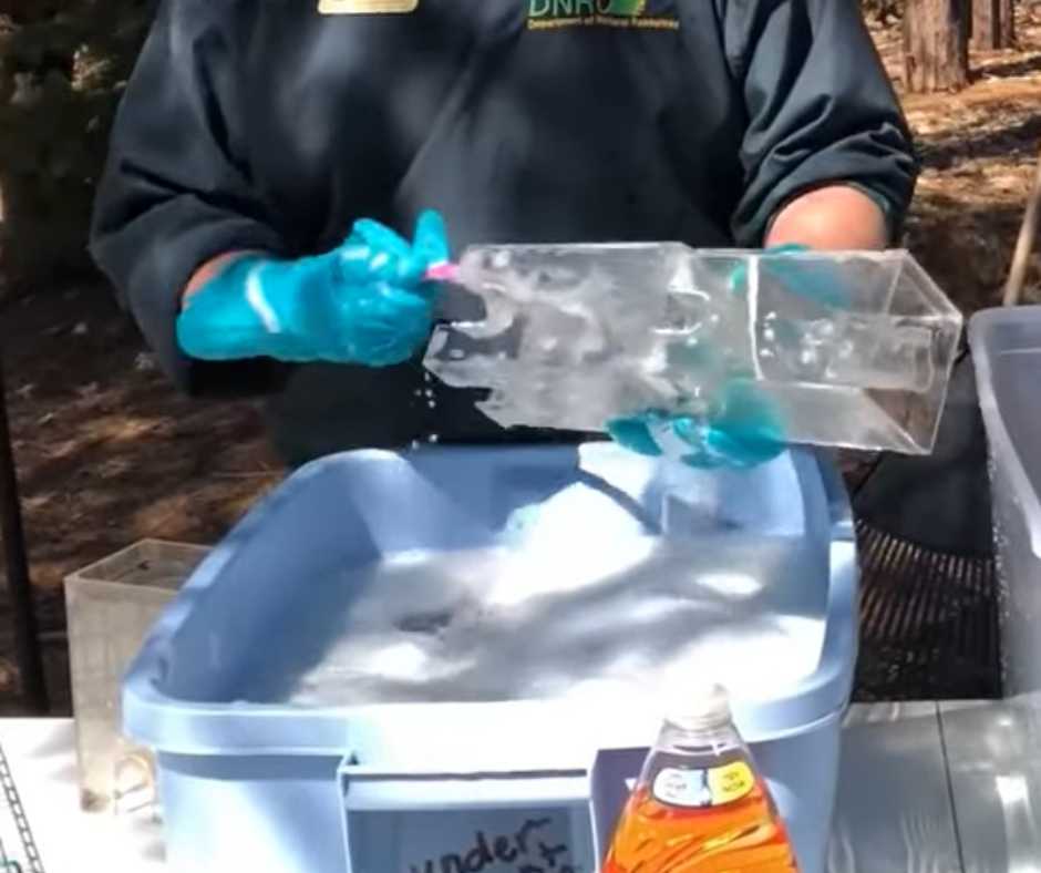 A person cleaning a bird feeder with soapy water, illustrating the proper way to maintain feeders for garden birds.