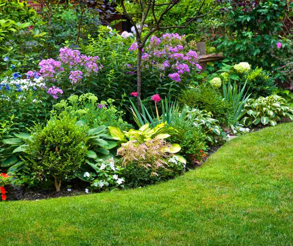 A picturesque garden brimming with colorful flowers, including hydrangeas, hostas, and phlox, highlighting the diversity of plant species.