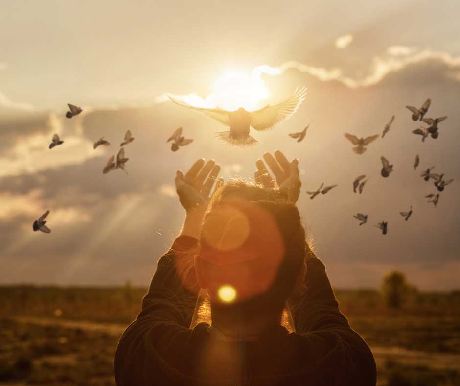 Silhouette of a person releasing doves into the golden light of the setting sun, with a flock taking flight in the background, embodying the grace and tranquility of doves.