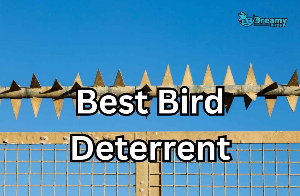 Best Bird Deterrent: Humane Solutions for Bird Control