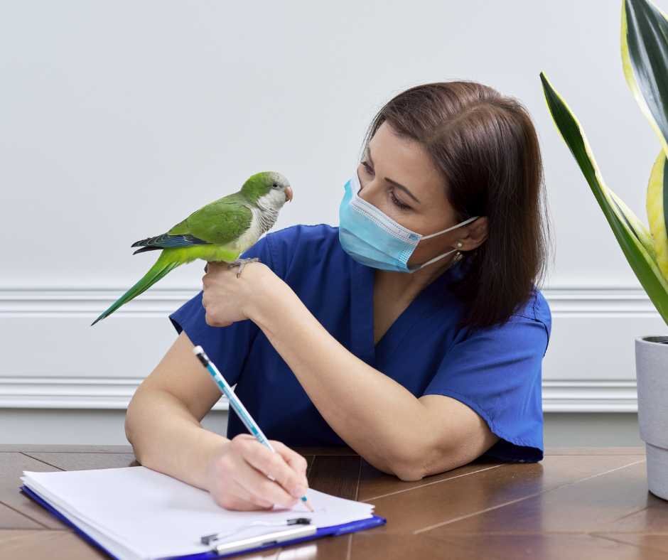 A green parrot sitting on the arm of a focused trainer writing down notes, highlighting gradual vocabulary expansion techniques.