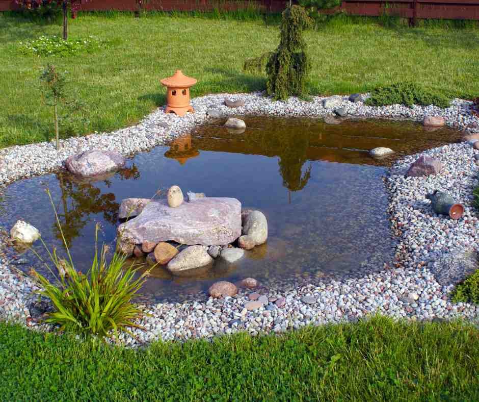 A tranquil garden pond surrounded by rocks and greenery, illustrating an idyllic ponds in garden setting.