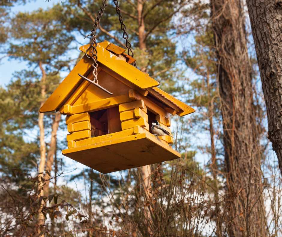 Yellow wooden birdhouse with a perched bird, hanging from a tree in a serene forest setting