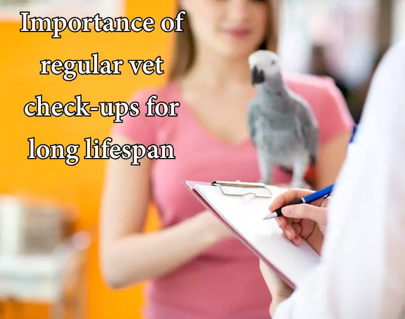 How long do parrots live