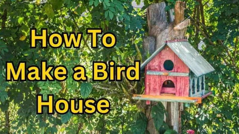 how to make a birdhouse