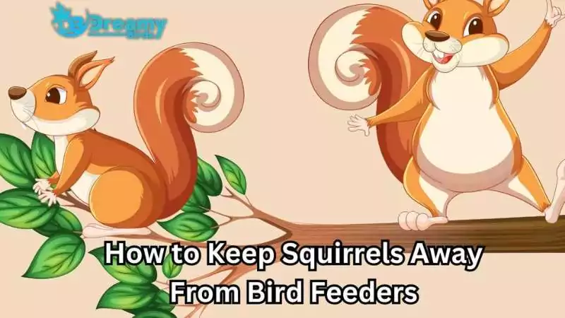 how to keep squirrels away from bird feeders