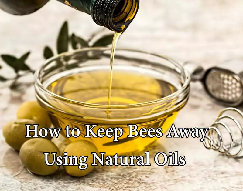 how to keep bees away from hummingbird feeders