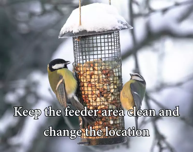 how to keep bees away from hummingbird feeders