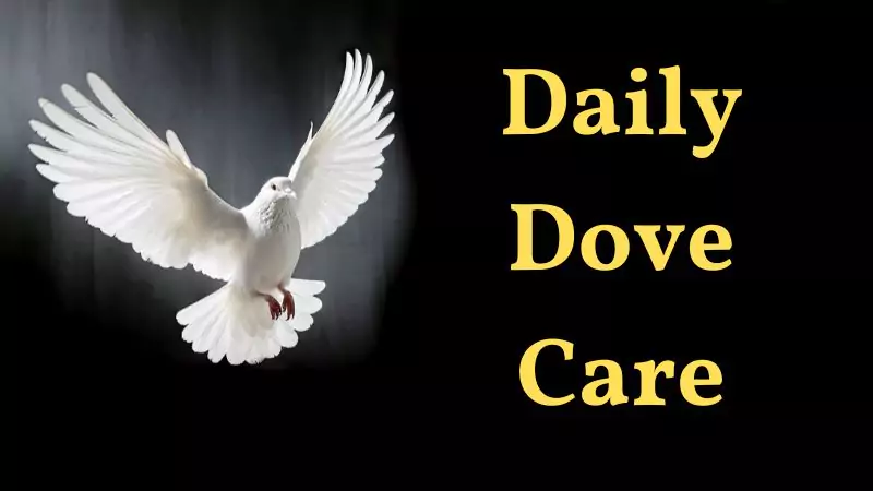 Daily Dove Care