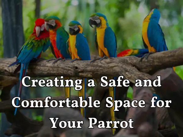 Do Parrots Love Their Owners