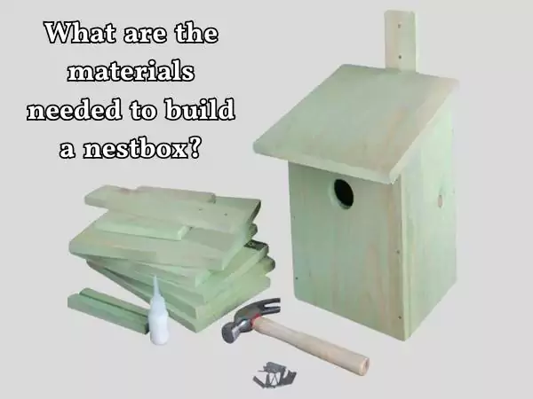 build a nestbox